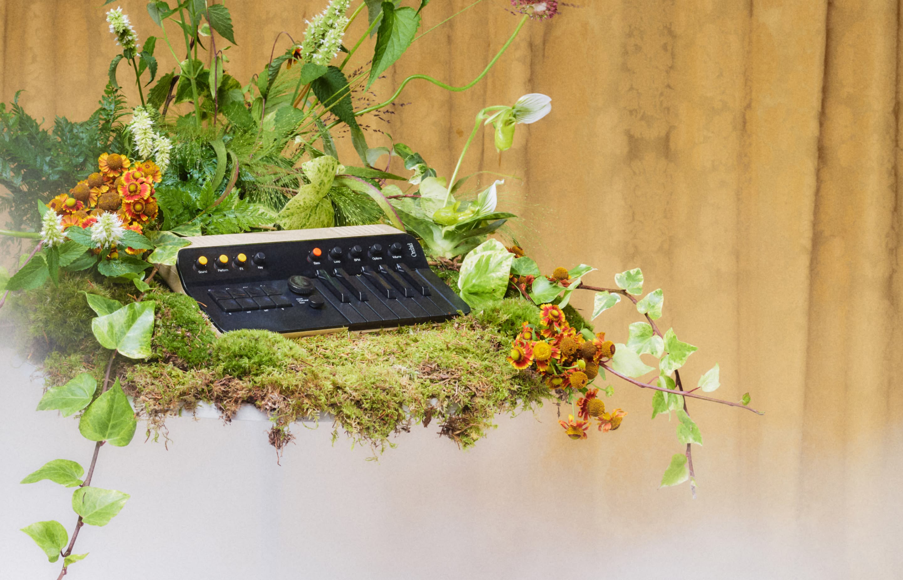 Orchid ORC—1 – Telepathic LLC